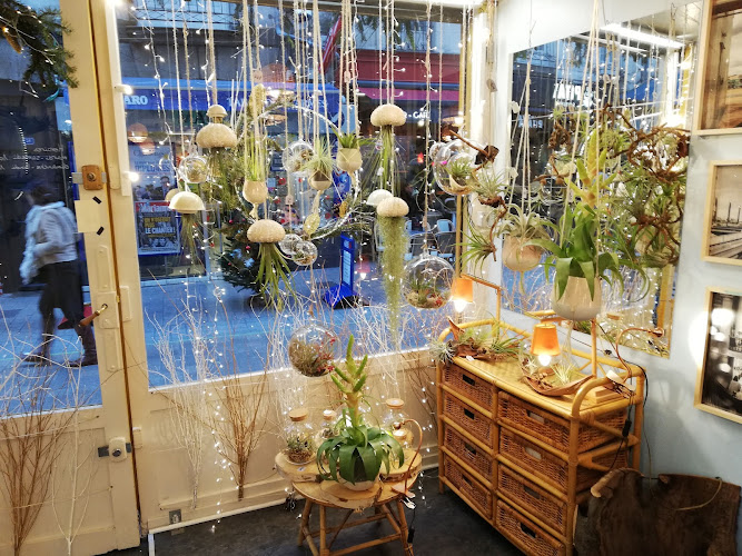 Les Demoiselles de l&rsquo;Air