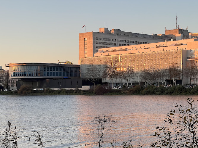 Institut de Recherche en Santé de Nantes Université