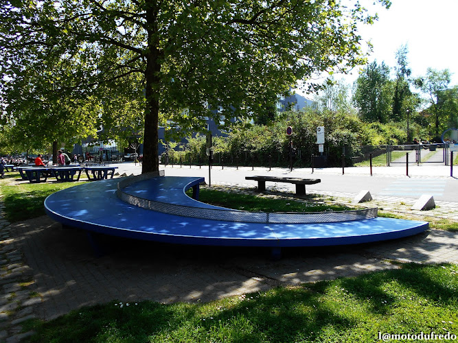 Ping-Pong Park