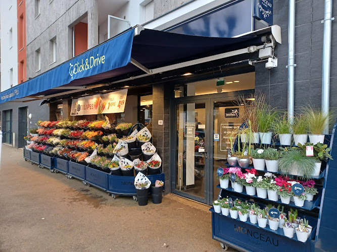 Monceau Fleurs