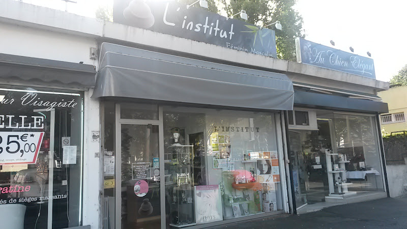L&rsquo;Institut
