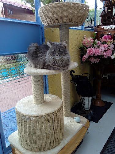 Parc René-Guy Cadou