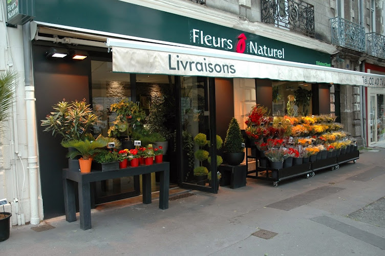 Fleurs Ô Naturel