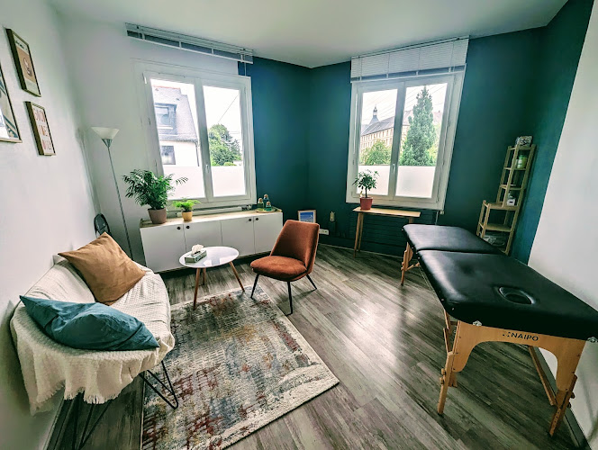 Alexandre Van Cleemput – Thérapeute en médecine chinoise, spécialisé en problèmes émotionnels et douleurs musculaires