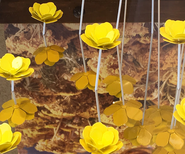 Magalie Rech Coach Sophrologue_L&rsquo;Essentiel Sur Mesure