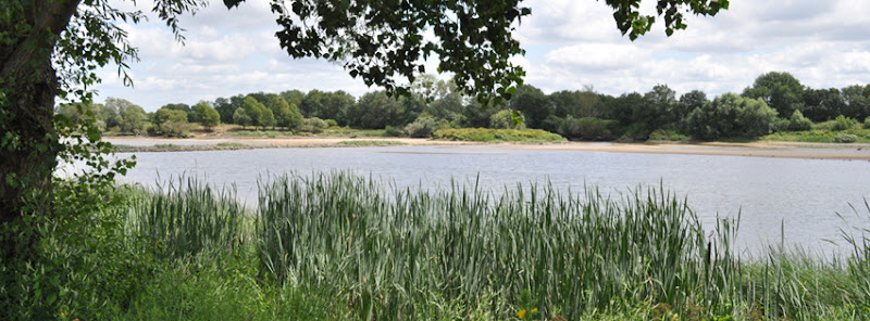 Organisation de protection de l&rsquo;environnement Nantes