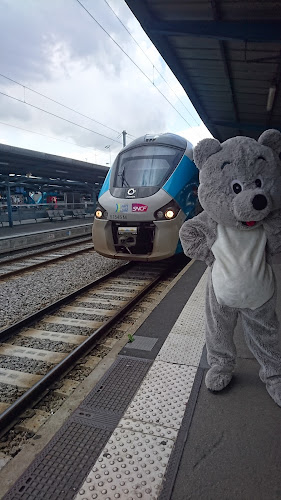 SNCF VOYAGEURS – TER Pays de la Loire