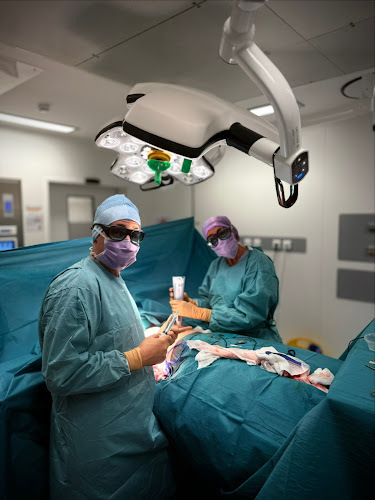Dr Julien OILLIC