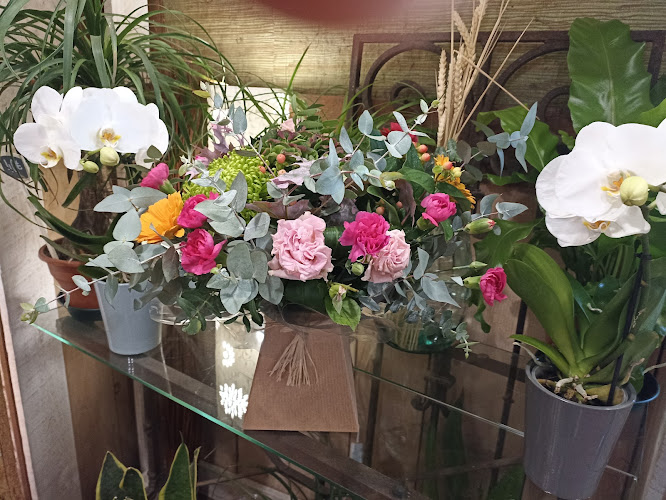 Les Jardins de Bagatelle