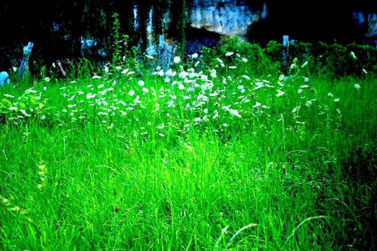 Écopôle CPIE Pays de Nantes