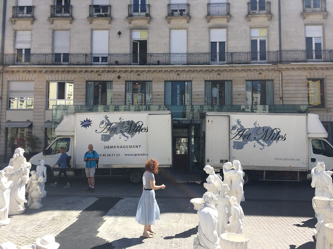 Art Miles Déménageur & Location de monte-meubles