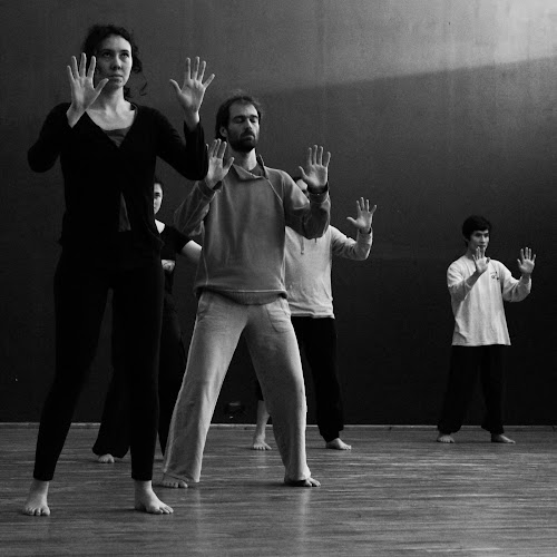 Compagnie Passage(s)