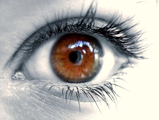 Carole LE JACQUES – Orthoptiste Nantes