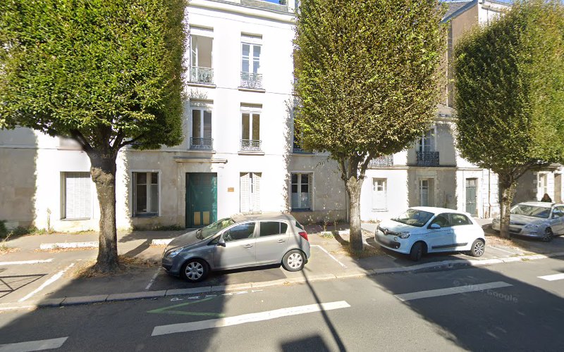 Marine Rival Avocate