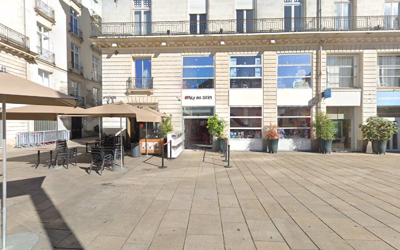 Ourse Blanche